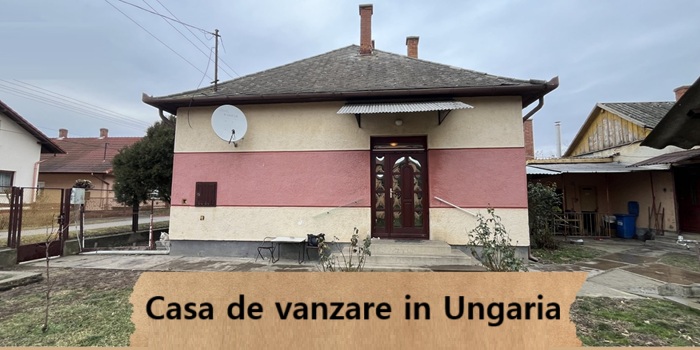 CASA DE VIS DIN PÜSPÖKLADÁNY!